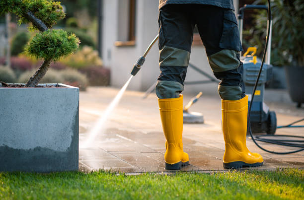 Best Best Pressure Washing Companies  in Williamsport, OH